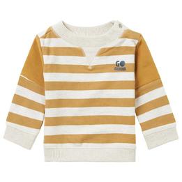 Overview image: Boys Sweater Maize