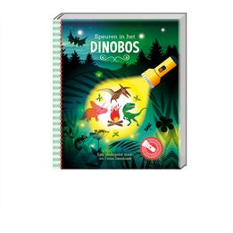 Overview image: Speuren in het Dinobos